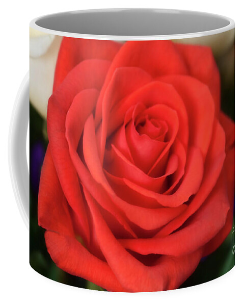 Rose Coffee Mug featuring the photograph Seductive by Joan Bertucci