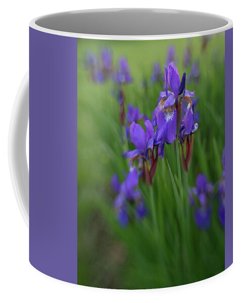 Iris Coffee Mug featuring the photograph See clearly now by Pamela Taylor