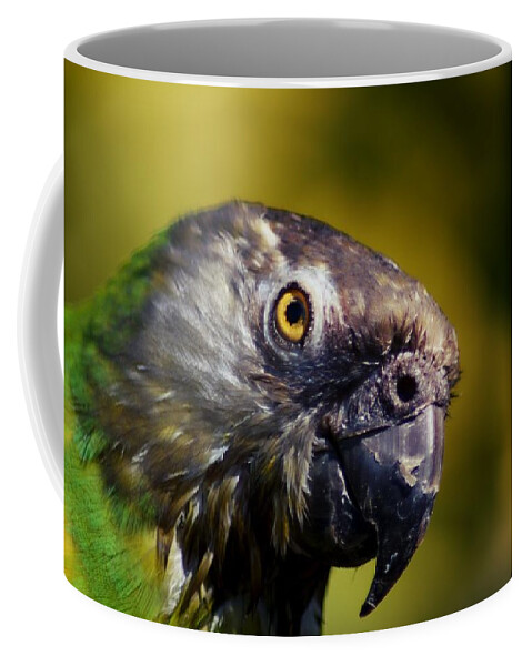 Parrot Coffee Mug featuring the photograph See My Personality by Eskemida Pictures