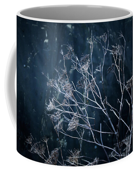  Coffee Mug featuring the photograph Seedheads and Tarpaulin by Anita Nicholson