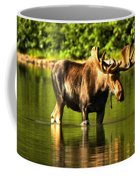 Moose Coffee Mug featuring the photograph Seeing My Reflection by Adam Jewell