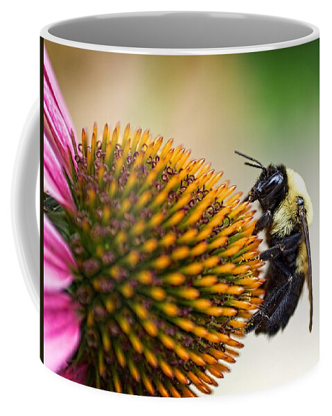 Bee Coffee Mug featuring the photograph Seeking Nectar by Brad Boland