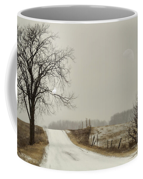 White Coffee Mug featuring the photograph Seer Of Souls by Terry Doyle
