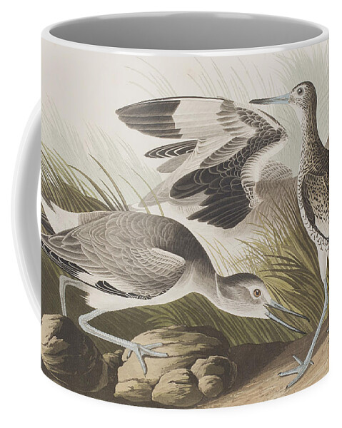 Audubon Coffee Mug featuring the painting Semipalmated Snipe or Willet by John James Audubon