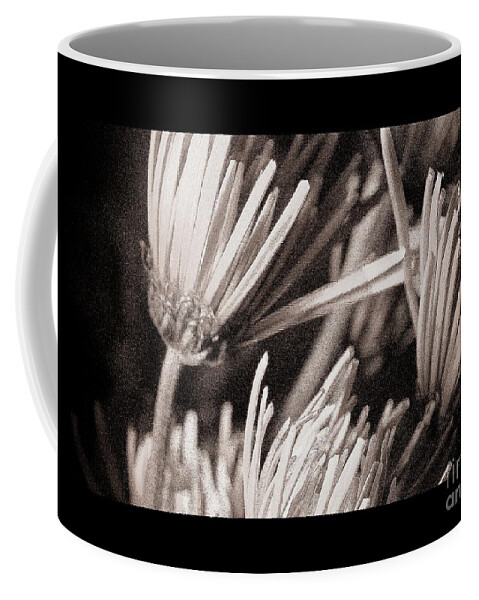 Flowers Coffee Mug featuring the photograph Send me These by Julie Lueders 