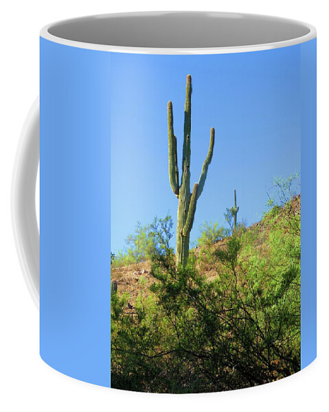Arizona Coffee Mug featuring the photograph Senior and Junior Soak Up Sun by Judy Kennedy