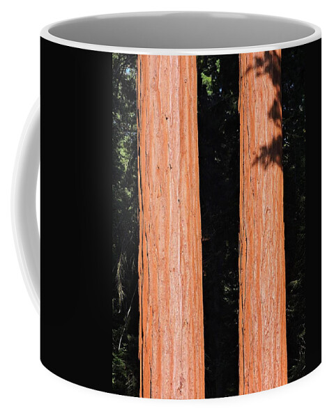 Sequoia Coffee Mug featuring the photograph Sequoia Trunks by Connor Beekman