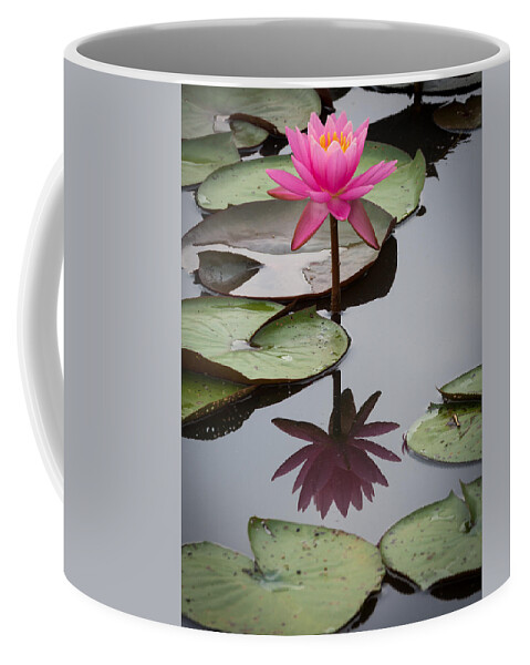 Kenilworth Aquatic Gardens Coffee Mug featuring the photograph Serene Beauty by Georgette Grossman