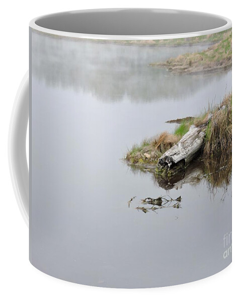 Marcia Lee Jones Coffee Mug featuring the photograph Serene # 1 by Marcia Lee Jones