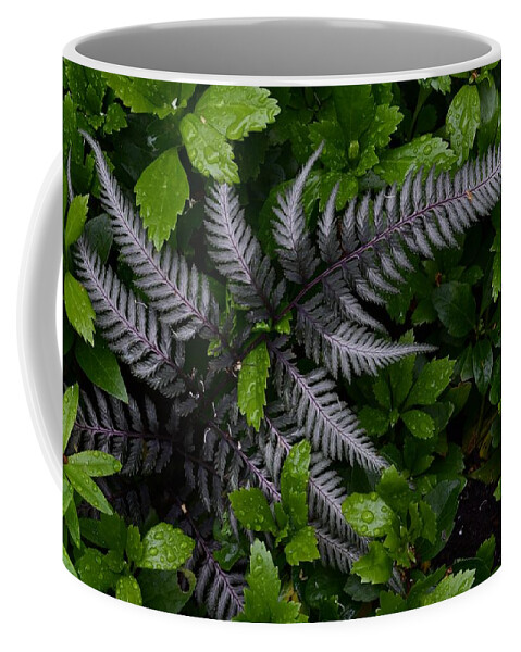 Fern Coffee Mug featuring the photograph Love Me Tender by Jimmy Chuck Smith
