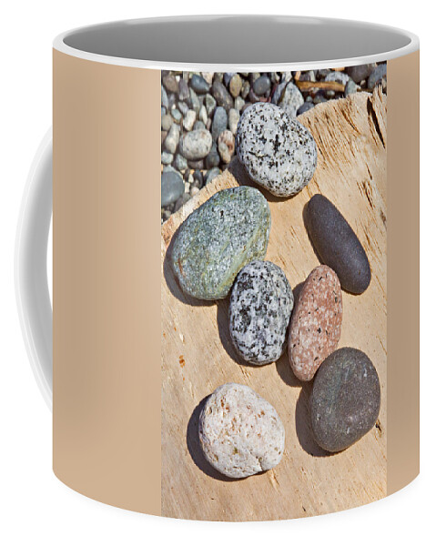 Stones Coffee Mug featuring the photograph Seven Stones on a Log by Peter J Sucy