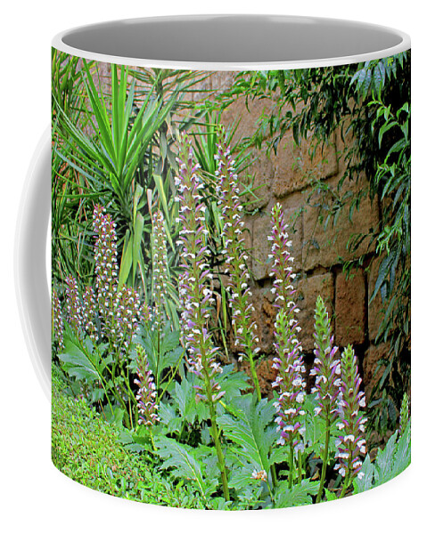 Flowers Coffee Mug featuring the photograph Seville Garden by Nieves Nitta