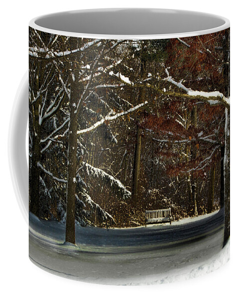 Gardens Coffee Mug featuring the photograph Shade of Winter by Marilyn Cornwell