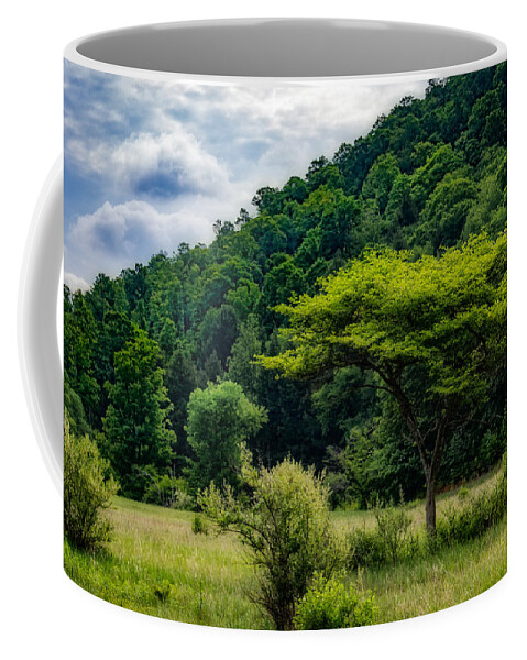 Clouds Coffee Mug featuring the photograph Shades of Green by Guy Whiteley