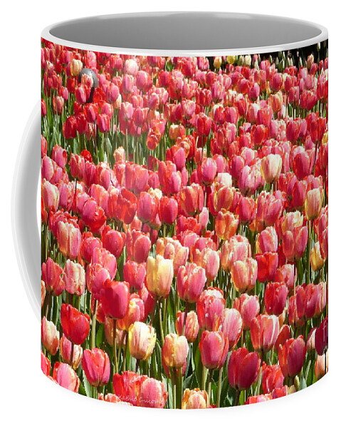 Photography Coffee Mug featuring the photograph Shades of Pink by Kathie Chicoine