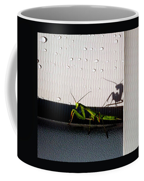Praying Mantis Coffee Mug featuring the photograph Shadow Self by Danielle R T Haney
