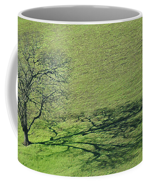 Path Coffee Mug featuring the photograph Shadow Simplicity by Debby Pueschel
