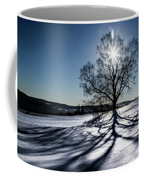 Vermont Coffee Mug featuring the photograph Shadow Tree by Tim Kirchoff