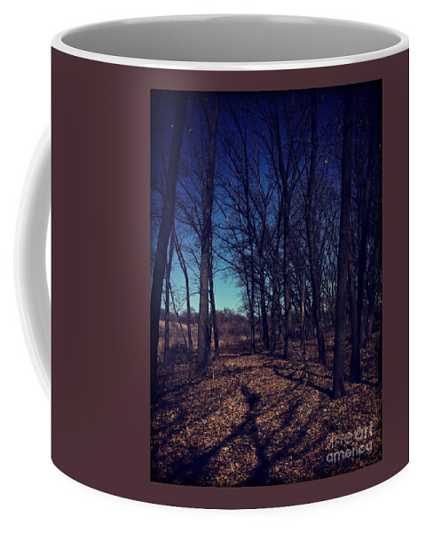 Midwest Coffee Mug featuring the photograph Shadows and Trees Landscape by Frank J Casella