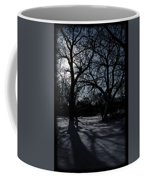 Winterpacht Coffee Mug featuring the photograph Shadows in January Snow by Miguel Winterpacht
