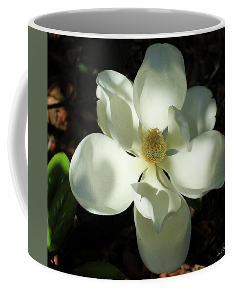 Reid Callaway The Opening Coffee Mug featuring the photograph Shadows Of Beauty Magnolia Flower Art by Reid Callaway