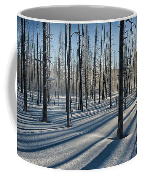 Yellowstone Coffee Mug featuring the photograph Shadows of the Forest by Sandra Bronstein