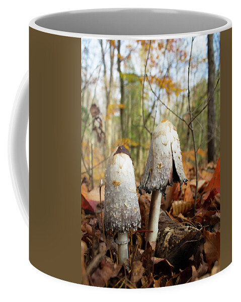 Shaggy Mane Coffee Mug featuring the photograph Shaggy Mane in Autumn by Barbara McMahon