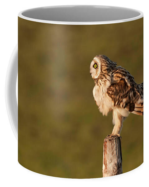 Asio Flammeus Coffee Mug featuring the photograph Shaking Short-eared Owl by Roeselien Raimond