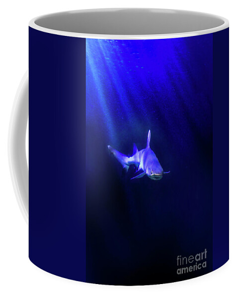 Shark Coffee Mug featuring the photograph Shark by Jill Battaglia