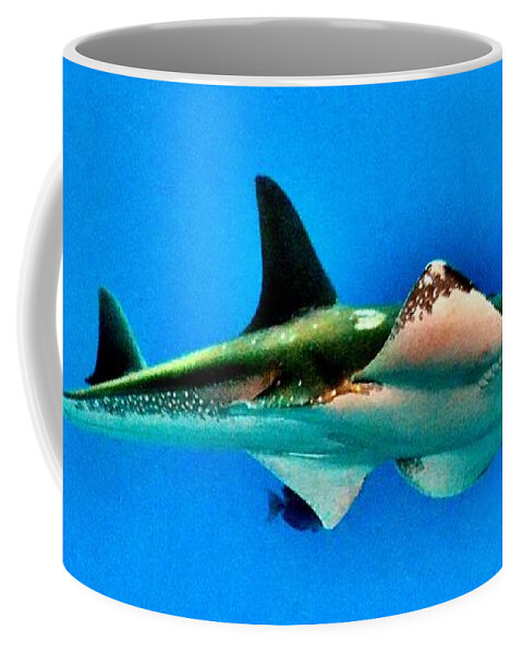 Fish Coffee Mug featuring the photograph Shark or Stingray by Eileen Brymer