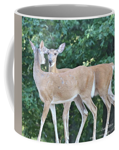 Deer Coffee Mug featuring the photograph She Said What?? by Bobbie Moller