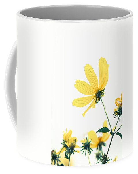 2015 Coffee Mug featuring the photograph She will bring out the best by Wade Brooks