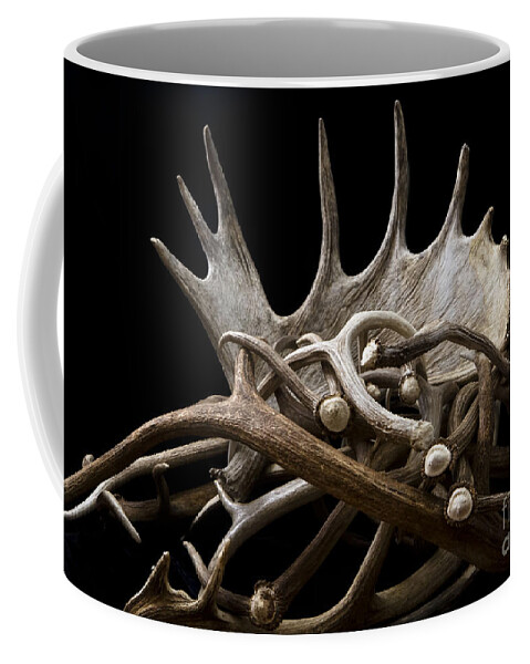 Shed Antlers Coffee Mug featuring the photograph Sheds by Edward R Wisell
