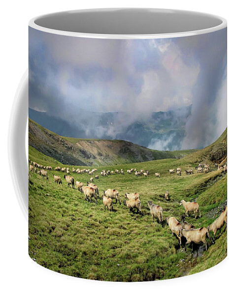 Sheep Coffee Mug featuring the photograph Sheep in Carphatian Mountains by Daliana Pacuraru