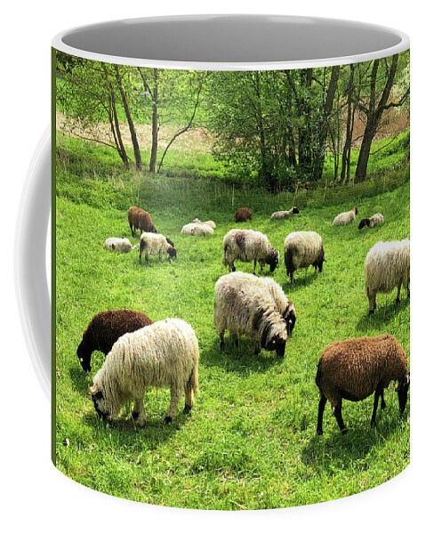 Sheep Coffee Mug featuring the photograph Sheep on meadow by Matthias Hauser