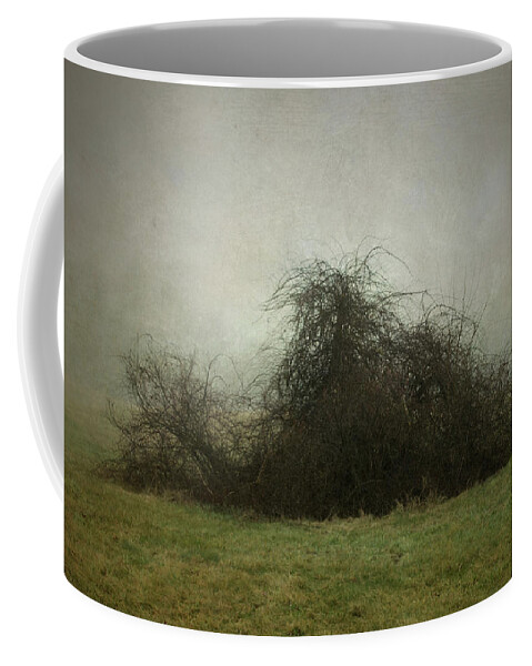 Land Coffee Mug featuring the photograph Sheep Pasture by David Gordon