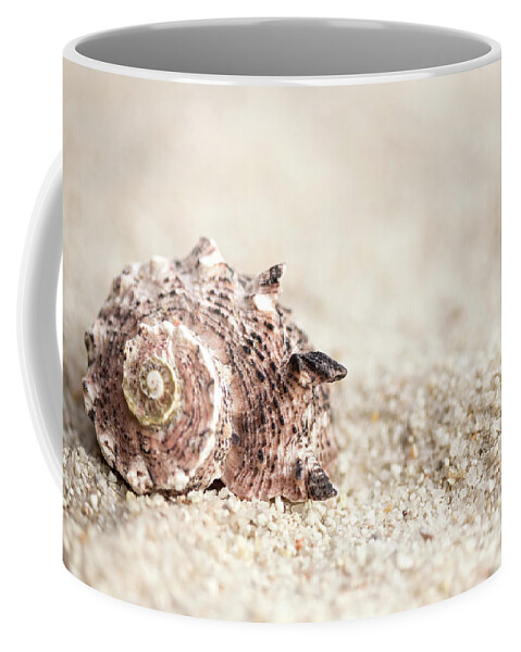 Shell Coffee Mug featuring the photograph Shell And Sand by MindGourmet