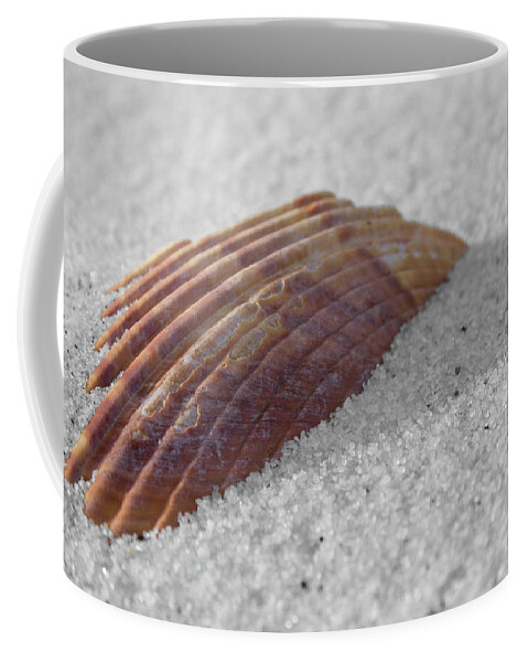 Shell Shadow Coffee Mug featuring the photograph Shell Shadow by Dylan Punke
