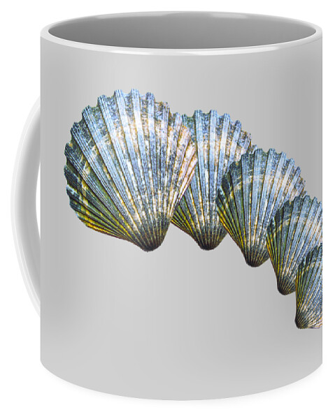 Shell Coffee Mug featuring the photograph Shell Shape Design by Mim White