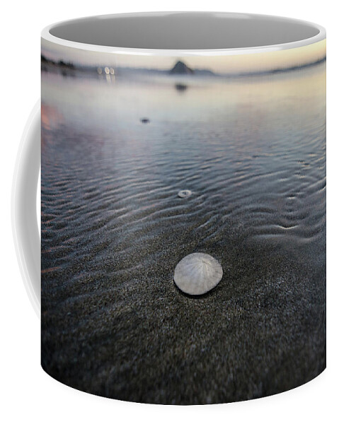California Coffee Mug featuring the photograph Shells on the Shore by Margaret Pitcher