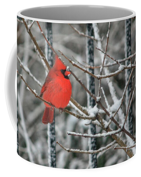 Red Coffee Mug featuring the photograph Shhhhh Be Still 1 by Diane Lindon Coy