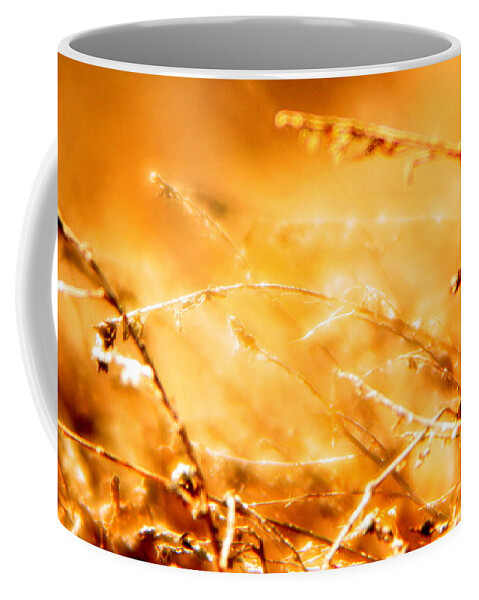 Grass Coffee Mug featuring the photograph Shimmer by Julie Lueders 