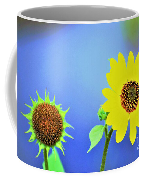 Flowers Coffee Mug featuring the photograph Shining Thru by Merle Grenz