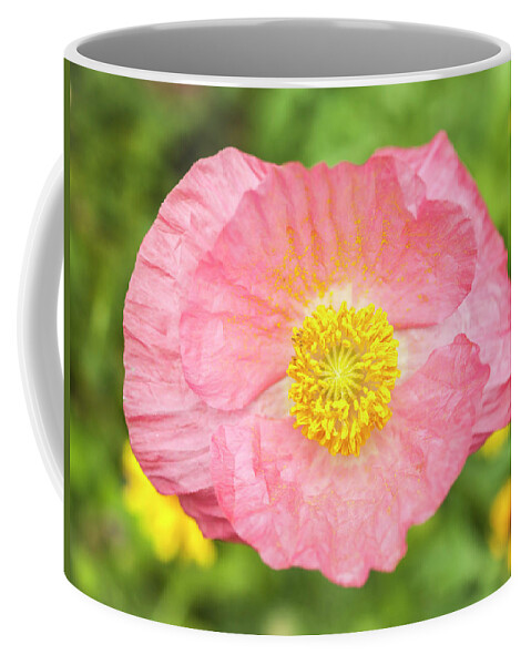 Shirley Poppy Coffee Mug featuring the photograph Shirley Poppy 2017-2 by Thomas Young