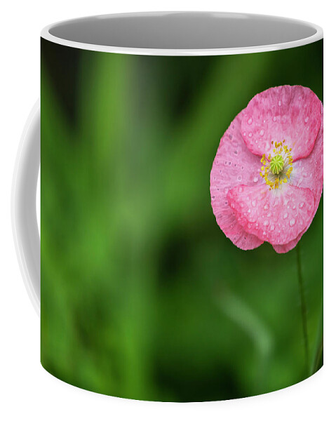 Shirley Poppy Coffee Mug featuring the photograph Shirley Poppy 2018-6 by Thomas Young