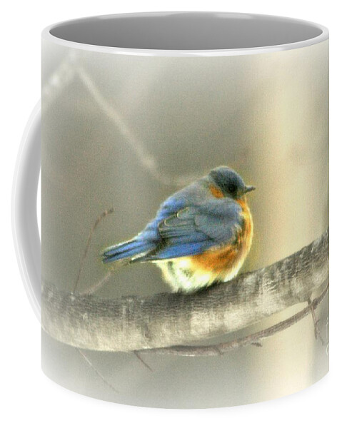 Bird Coffee Mug featuring the photograph Shivering by Barbara S Nickerson