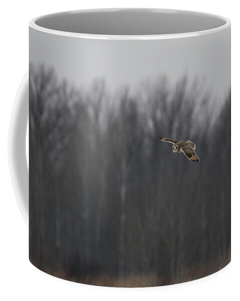 Short Eared Owl Coffee Mug featuring the photograph Short Eared Owl at Dusk 2 by Brook Burling