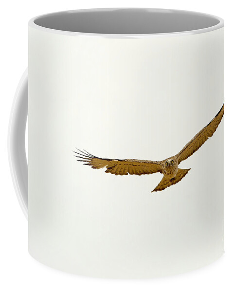 Alertness Coffee Mug featuring the photograph Short-toed Snake Eagle Circaetus gallicus by Alon Meir