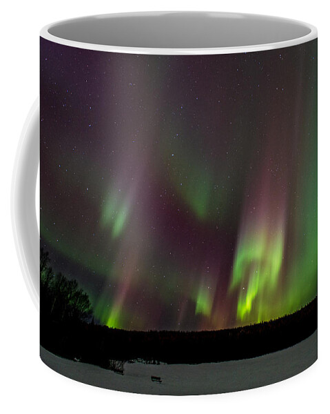 Canada Coffee Mug featuring the photograph Show Time by Doug Gibbons