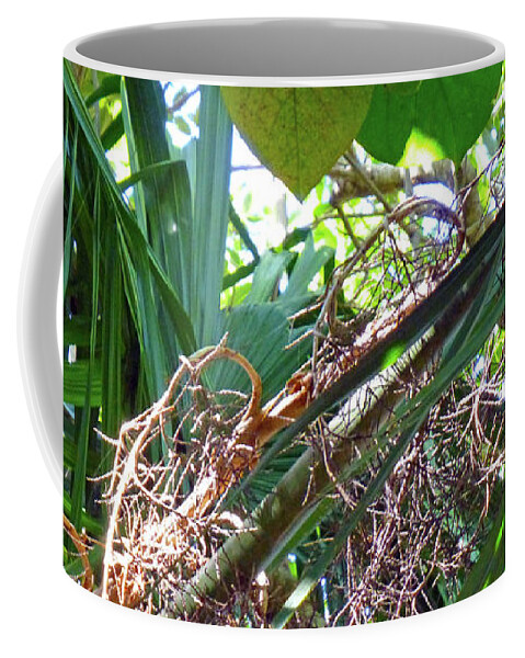 Green Coffee Mug featuring the photograph Shrub in trees contrast by Francesca Mackenney